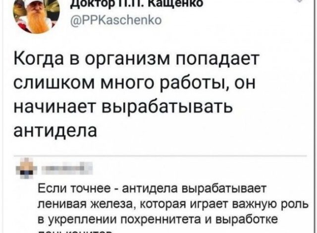 Photo of Прикольные комментарии из соцсетей (19 фото)