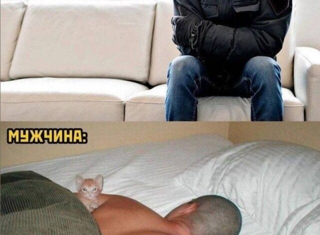Photo of Свежая подборка фото