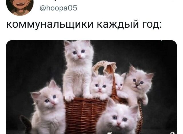 Photo of Смешные комментарии из соцсетей (16 фото)