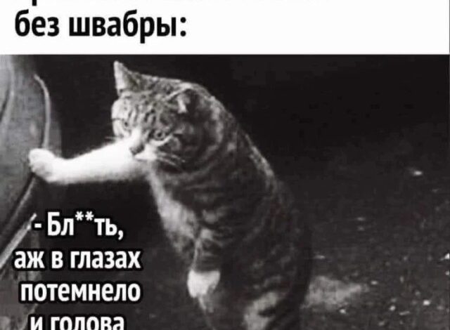 Photo of Приколы для вашего настроения (38 шт)