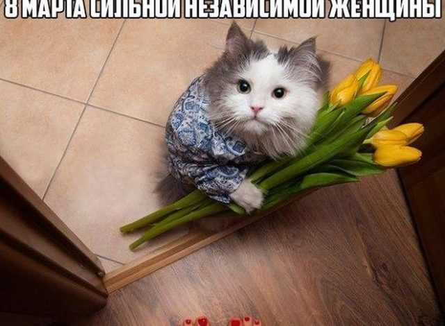 Photo of Немного фото