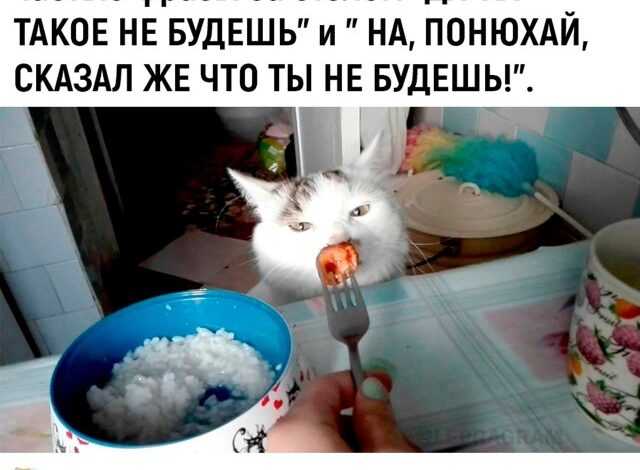 Photo of Прикольные комментарии и СМС