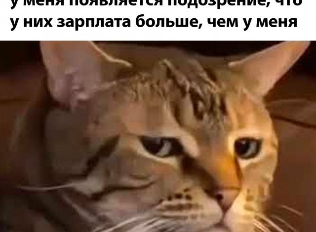 Photo of Смешная подборка фото
