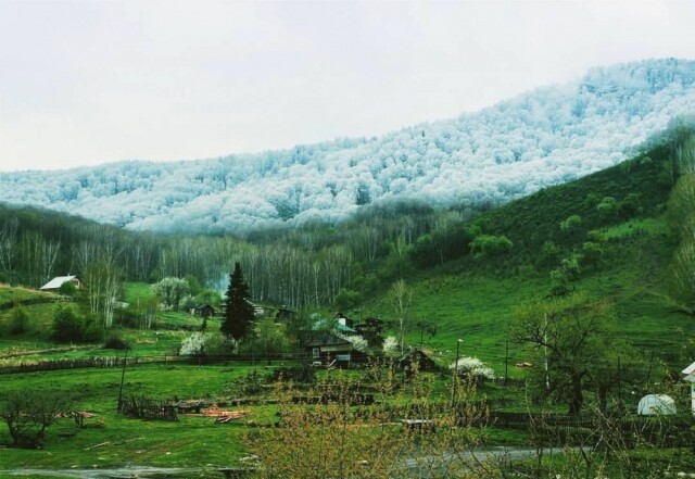 Photo of Потрясающие фотографии, демонстрирующие красоту и природное разнообразие нашей планеты (18 фото)