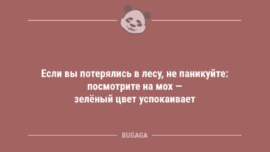 Photo of Если вы потерялись в лесу, не паникуйте… (6 фото)