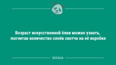 Photo of Возраст искусственной ёлки можно узнать… (5 фото)