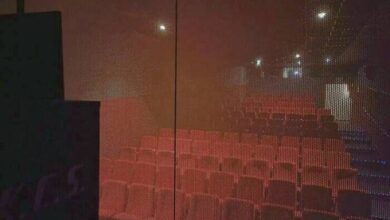 Photo of Интересные снимки обо всём на свете: «Давид» Микеланджело, закат на Марсе, детёныш зебры и другое (29 фото)