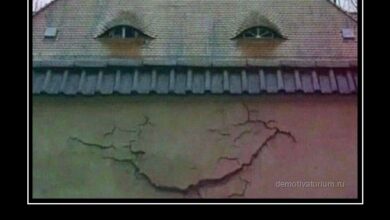Photo of Демотиваторы для пятничного настроения: «Нет, крыша, сегодня мы никуда не едем» (15 фото)