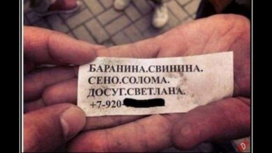 Photo of Демотиваторы дня: «Есть женщины в русских селеньях» (14 фото)