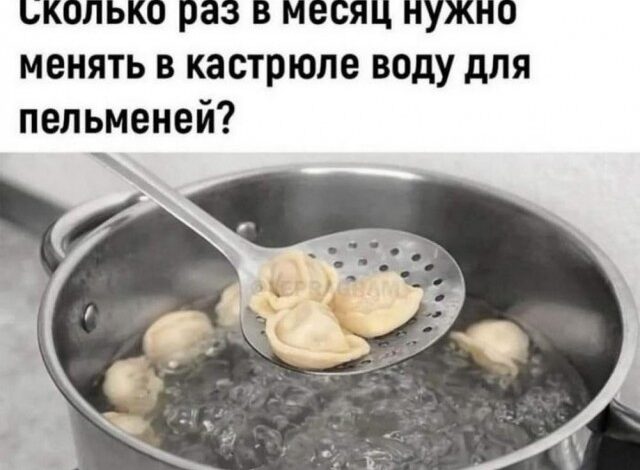 Photo of Весёлые картинки на любой вкус: «Сколько раз в месяц нужно менять в кастрюле воду для пельменей?» (33 фото)