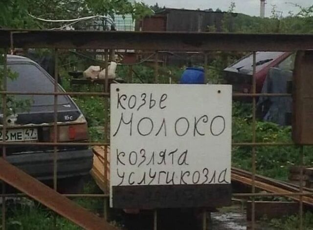 Photo of Смешные объявления, вывески и реклама: про козье молоко, аватар, всё для школы и другое (20 фото)