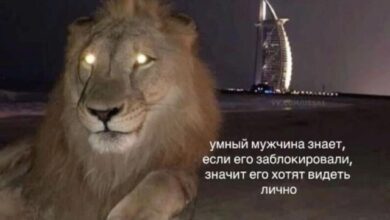 Photo of Пятничные фотоприколы: «Умный мужчина знает…» (33 фото)