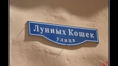 Photo of Демотиваторы для всех: «Улица Лунных кошек…» (15 фото)