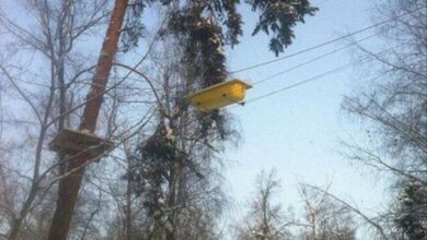 Photo of Приколы в картинках (38 шт)