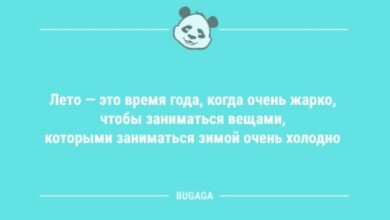 Photo of Анекдоты для настроения: «Лето — это время года, когда…» (10 шт)