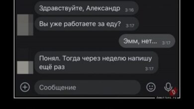 Photo of Демотиваторы для всех: «Вы уже работаете за еду?» (15 фото)