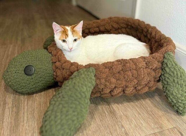Photo of Впечатляющие творения, связанные крючком, которые вам стоит увидеть (22 фото)
