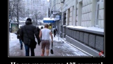 Photo of Демотиваторов свежий сборник: «На его календаре 137 августа!» (15 фото)