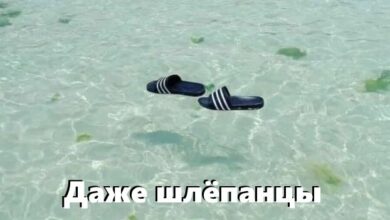 Photo of Фотоприколы для всех: «Даже шлёпанцы отдыхают на море…» (27 фото)
