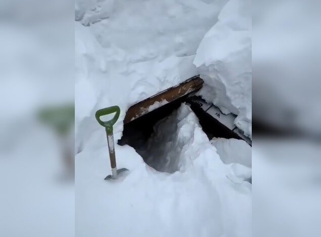 Photo of Так вот куда вся зима делась