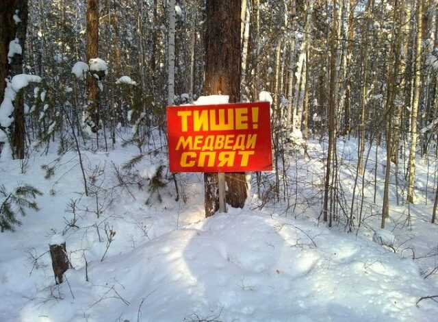Photo of Тем временем в России… (16 фото)