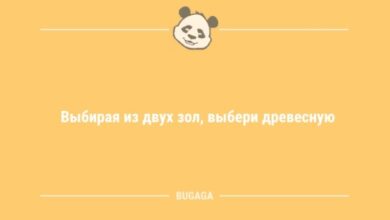Photo of Пятничных анекдотов пост: «Выбирая из двух зол…» (8 шт)