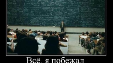 Photo of Демотиваторы – приколы: «Всё, я побежал…» (17 шт)