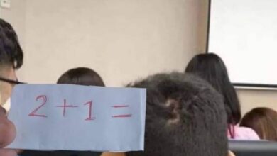 Photo of Прикольные картинки (24 шт)