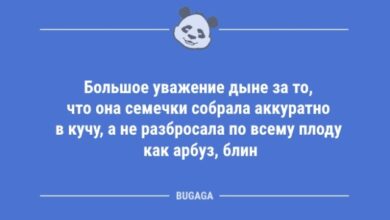 Photo of Анекдоты дня: «Большое уважение дыне…» (10 шт)