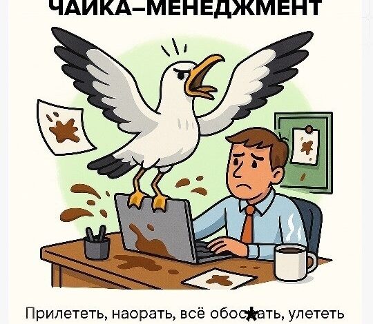 Photo of А какой стиль менеджмента у вас на работе? (17 фото)