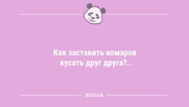 Photo of Анекдоты для всех: «Как заставить комаров…» (8 шт)