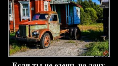 Photo of Демотиваторов пост: «Если ты не едешь на дачу…» (22 фото)