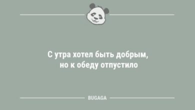 Photo of Анекдоты для улыбок: «С утра хотел быть добрым…» (12 фото)