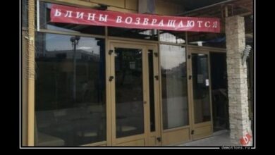 Photo of Демотиваторы для хорошего настроения: «От создателей…» (17 фото)