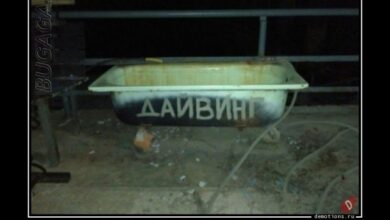 Photo of Демотиваторы – приколы: «Тренировочный центр» (19 фото)