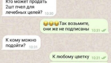 Photo of Прикольные картинки: «Кто может продать 2 шт. пчёл для лечебных целей?» (28 фото)