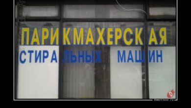 Photo of Сборник демотиваторов: «Все хотят быть красивыми…» (17 фото)