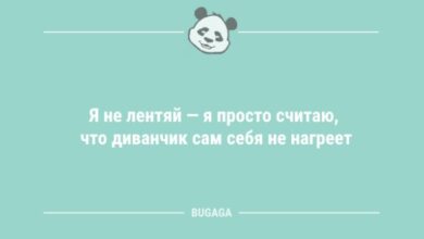 Photo of Анекдоты для настроения: «Я не лентяй…» (12 шт)