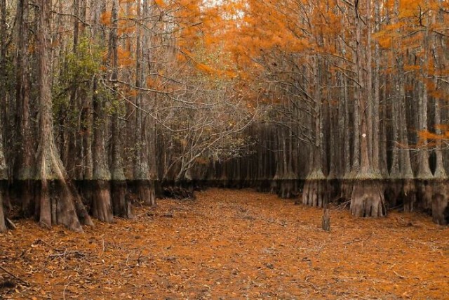 Photo of Удивительные фотографии, в реальность которых сложно поверить (35 фото)