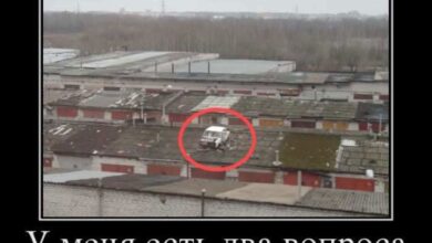 Photo of Демотиваторы – приколы: «У меня есть два вопроса…» (18 фото)