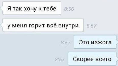 Photo of Весёлые картинки дня: «Я так хочу к тебе…» (26 фото)
