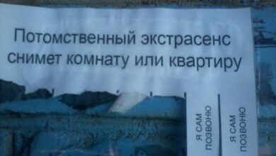 Photo of Смешные объявления, вывески и реклама: «Потомственный экстрасенс снимет квартиру…» (21 фото)