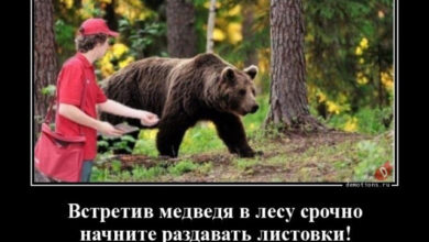 Photo of Демотиваторов пост: «Встретив медведя в лесу…» (15 фото)