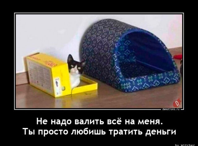 Photo of Демотиваторы для отличного настроения: «Не надо валить всё на меня…» (15 фото)