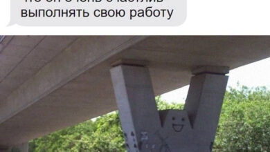 Photo of Фотоприколы пятницы: «Мне хочется думать, что он очень счастлив…» (40 шт)