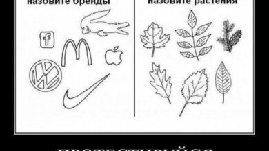 Photo of Демотиваторы – приколы: «Протестируйся» (12 шт)