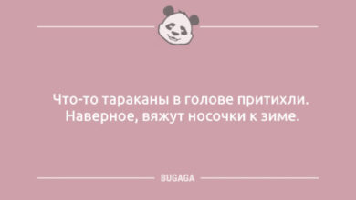 Photo of Анекдоты дня: «Что