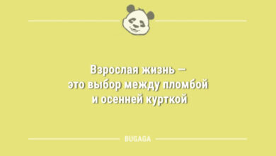 Photo of Анекдоты в середине недели: «Взрослая жизнь — это…» (9 шт)