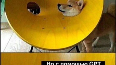 Photo of Интернет без тормозов — приколы | Bugaga