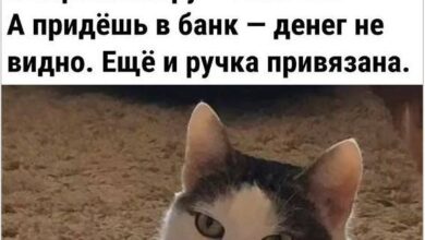 Photo of Просто чтобы улыбнуться — смешные мемы | Bugaga